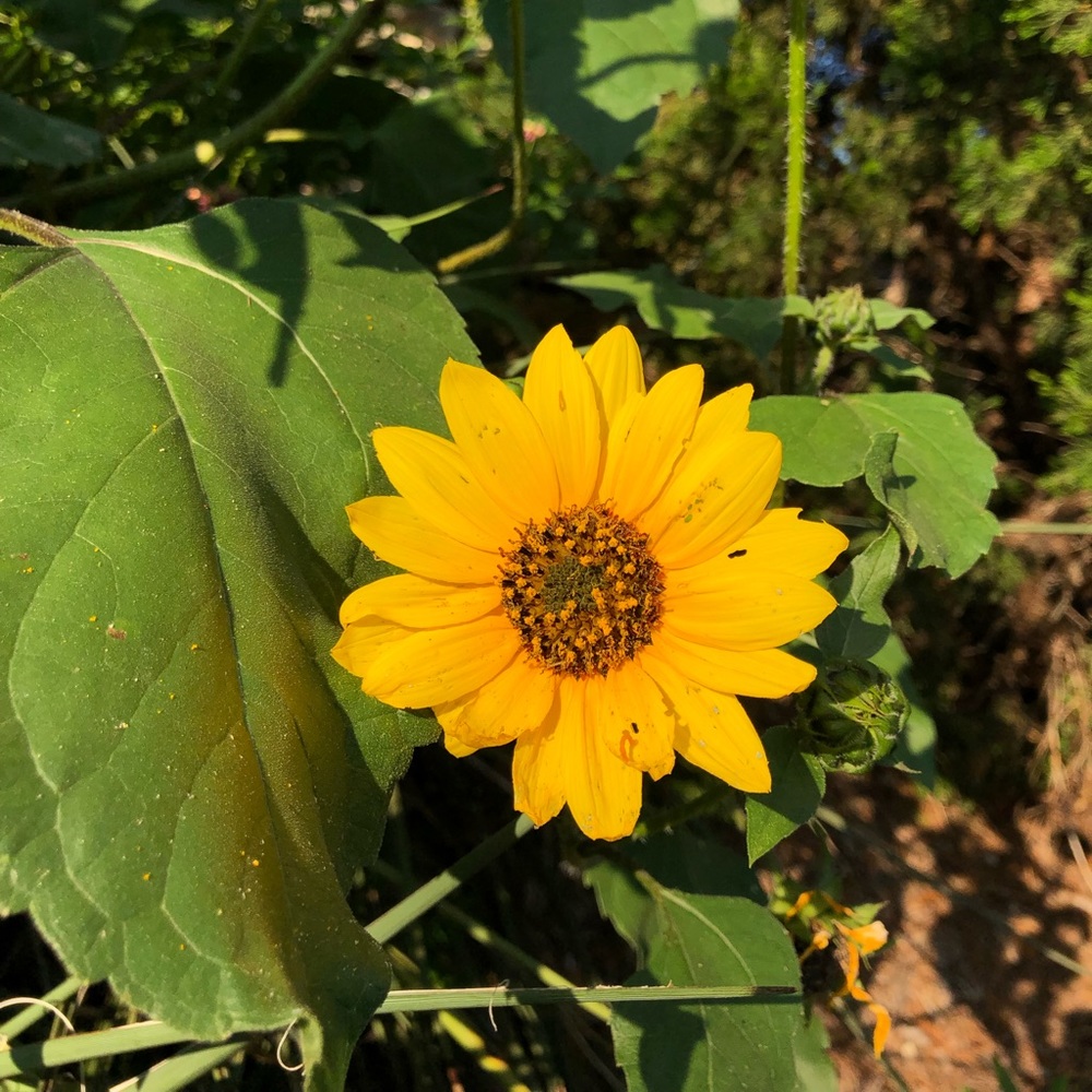 Meet your Posher, Britanny